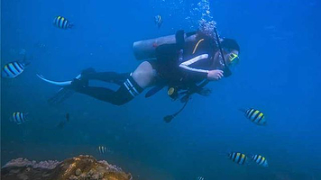 鲸奇潜水俱乐部