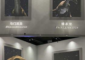 寻梦巨龙达尔文沉浸式数字空间