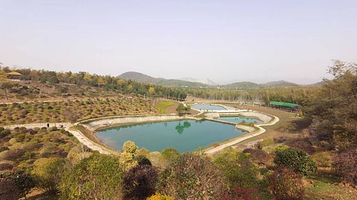 宜兴国家森林公园