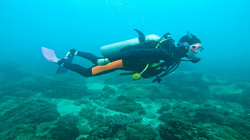 南澳西冲柚柑湾潜水度假村