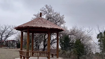 金粟山森林公园