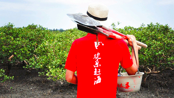 红树林欢乐赶海