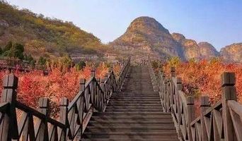 巫山神女景区巫峡红叶步道