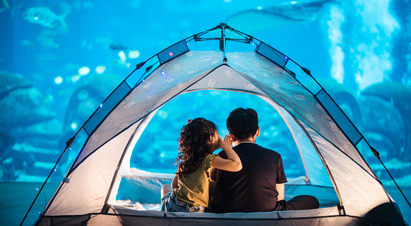 亚特兰蒂斯海洋世界迷你营