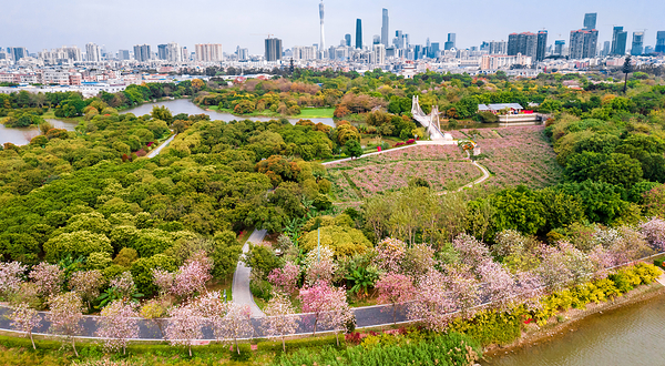 海珠国家湿地公园