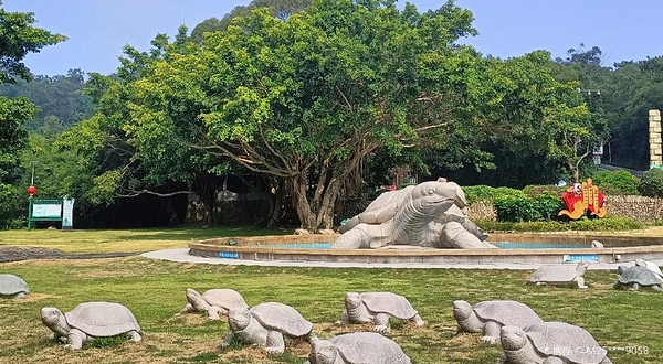 黄花山国家森林公园