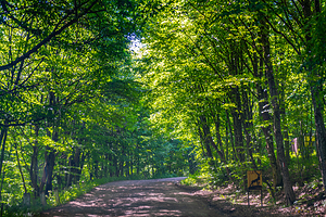 迪利扬国家公园