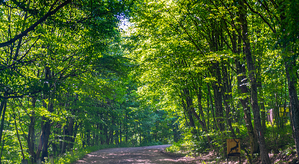 迪利扬国家公园