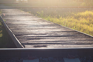 东钱湖下水湿地公园
