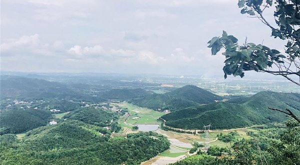 仙女山风景区