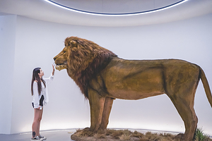 山海恒达标本观光工厂