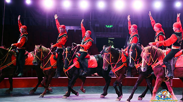 东湖海洋乐园东湖大马戏