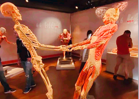 REAL BODIES at Bally's