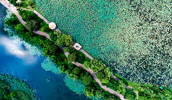 金龙水寨生态乐园