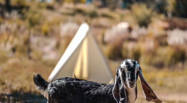 牧野拾趣阳宗海自然教育基地