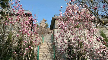 天运·苏园文旅基地