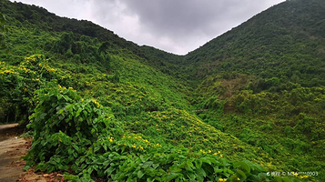 司马岺自然生态公园