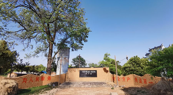 肥西老母鸡家园