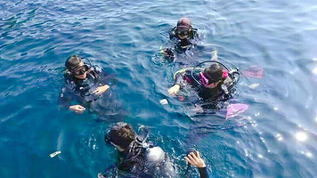 巽寮湾小海狮潜水俱乐部