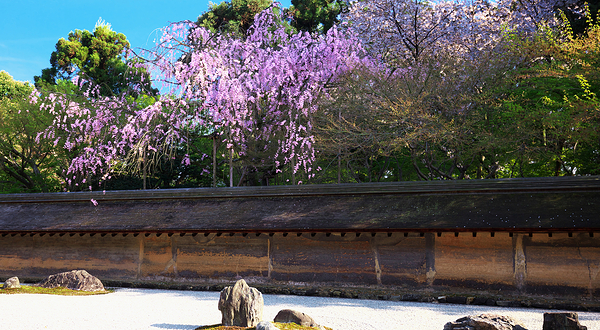 龙安寺