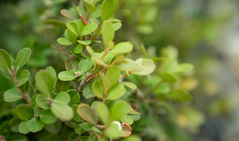 eden春山里生态教育国际生活示范区