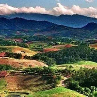 十万大山国家森林公园