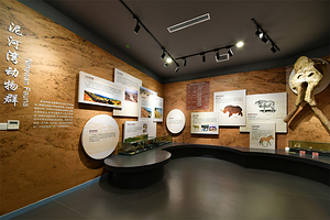 河北省地质博物馆