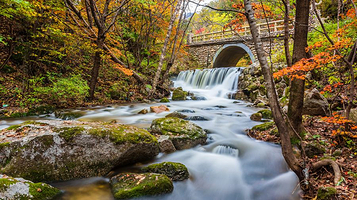 大冰沟国家地质森林公园