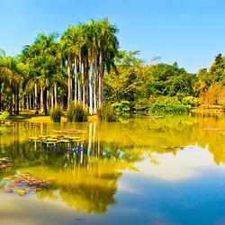中国科学院西双版纳热带植物园