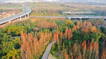 九曲河湿地公园