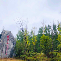 龙脊山自然风景区