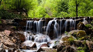 鹤岗国家级森林公园