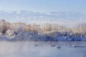 天鹅泉湿地公园