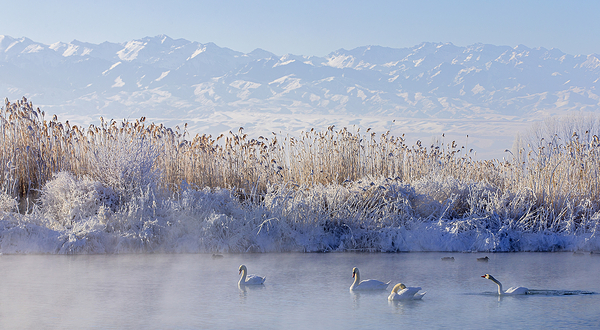 天鹅泉湿地公园
