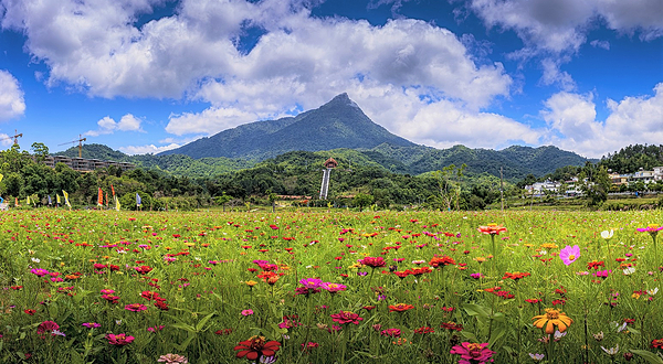 海南热带雨林国家公园五指山景区