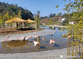 宜宾野生动物世界