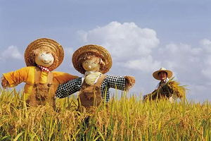 拖拉机联盟亲子乐园