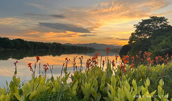 流溪河夏湾拿湿地公园