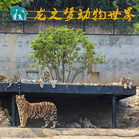 龙之梦动物世界