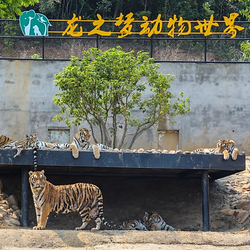 龙之梦动物世界