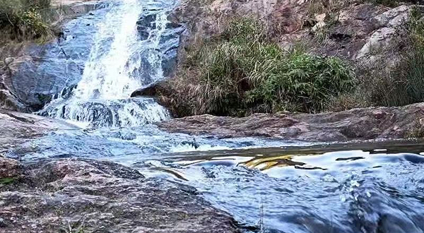 鹿鸣湖