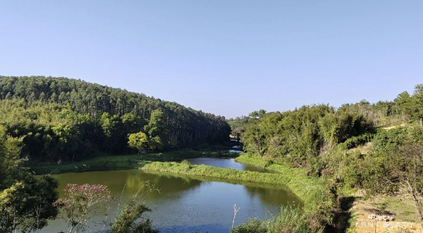 樱山花谷