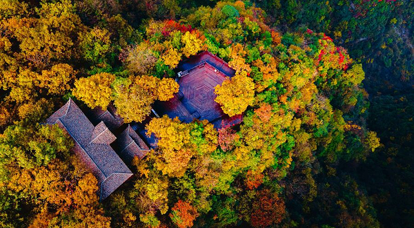 柴埠溪大峡谷