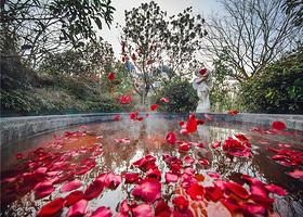 无锡洛克菲露天汤泉