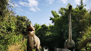 厦门锦仔山生态乐园