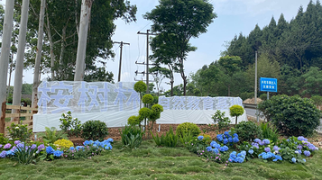 桉树林自然教育基地