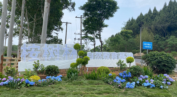 桉树林自然教育基地