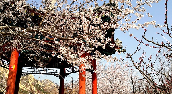 北京凤凰岭景区