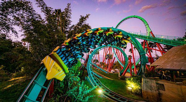 坦帕湾布希花园