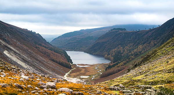 威克洛山脉国家公园